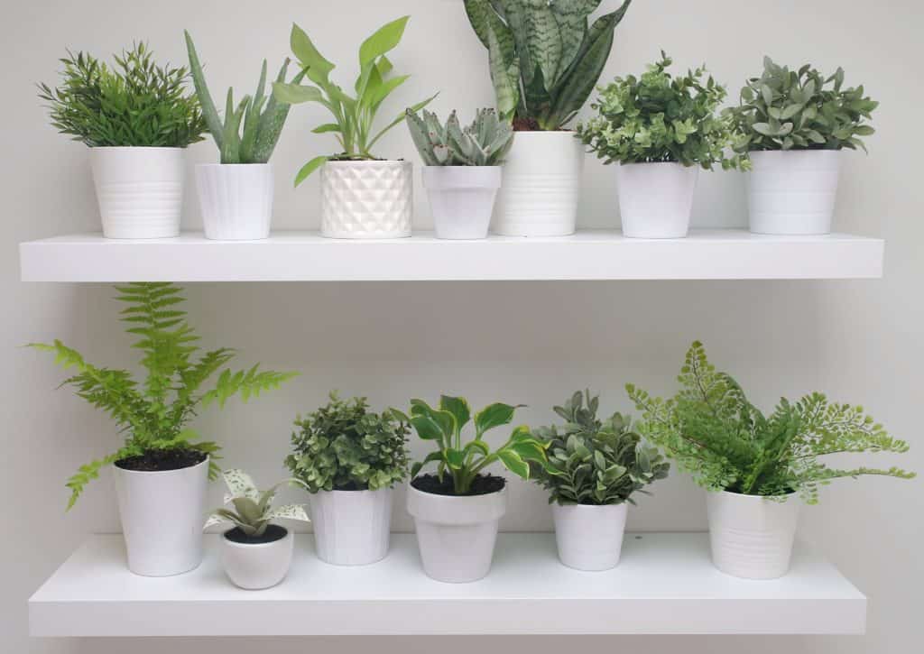 plant wall on Ikea shelves