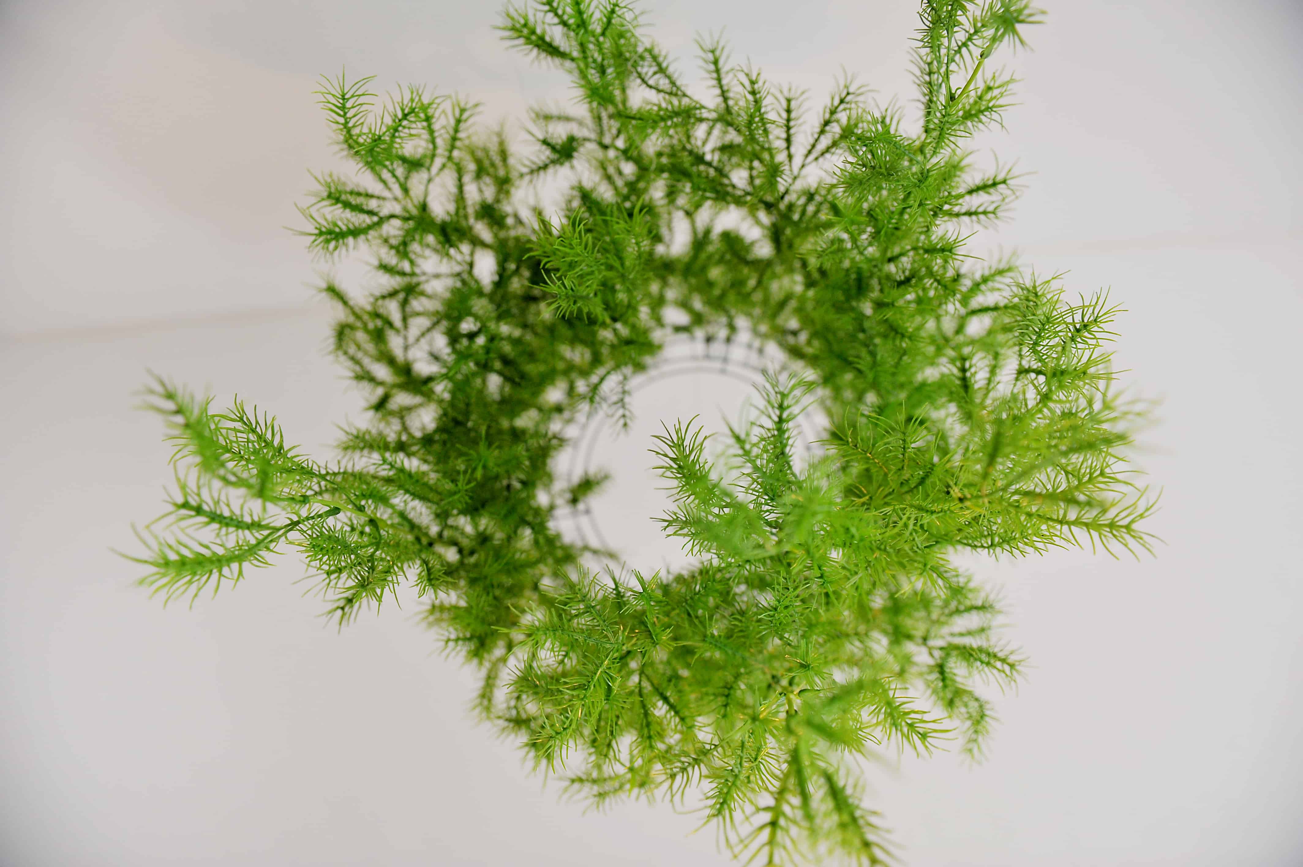 babies eye view of greenery baby mobile