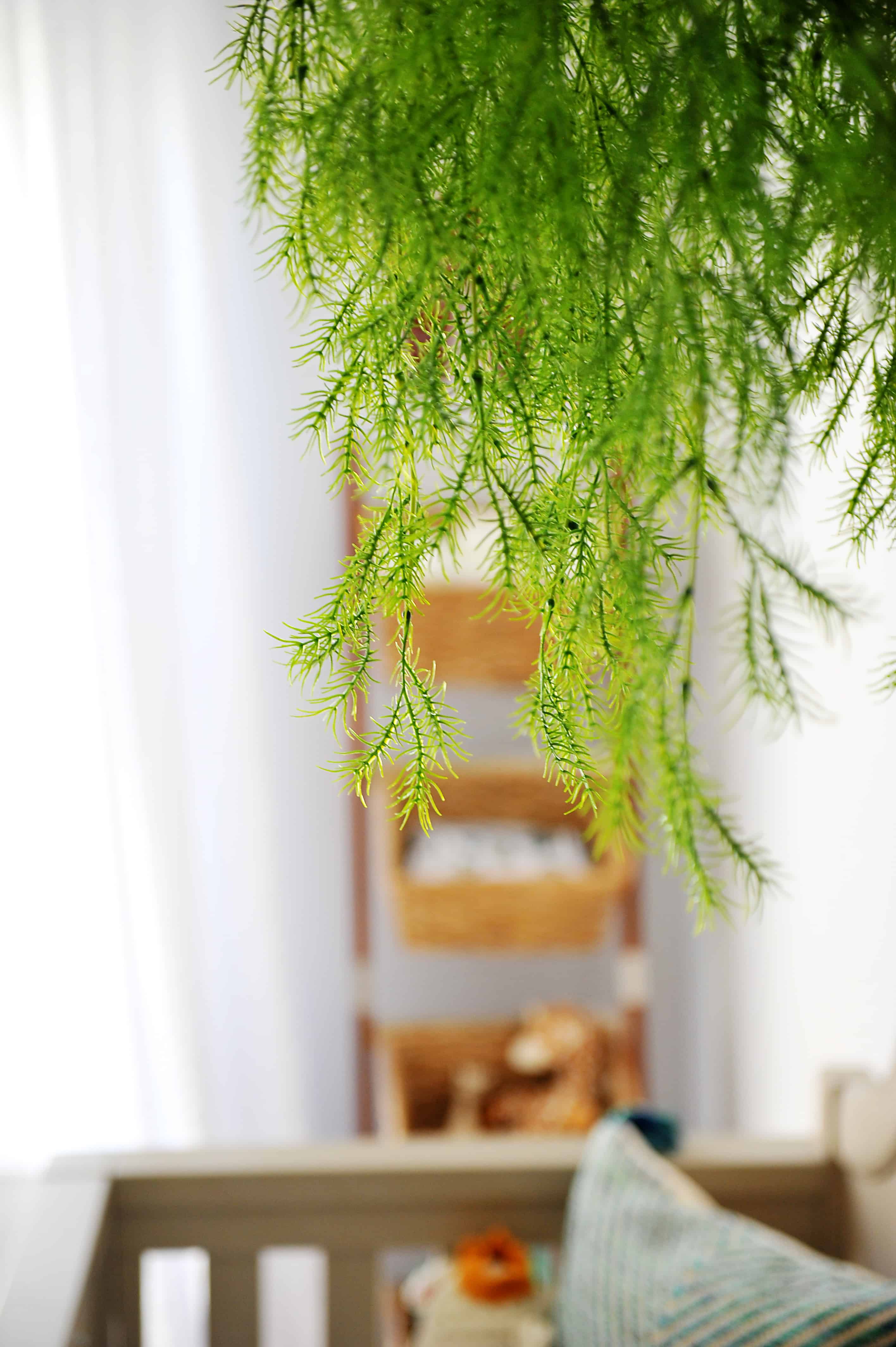 greenery hanging in front of ladder