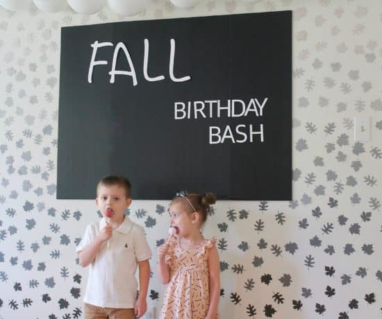 Fall Birthday Party on budget - www..arinsolangeathome.com