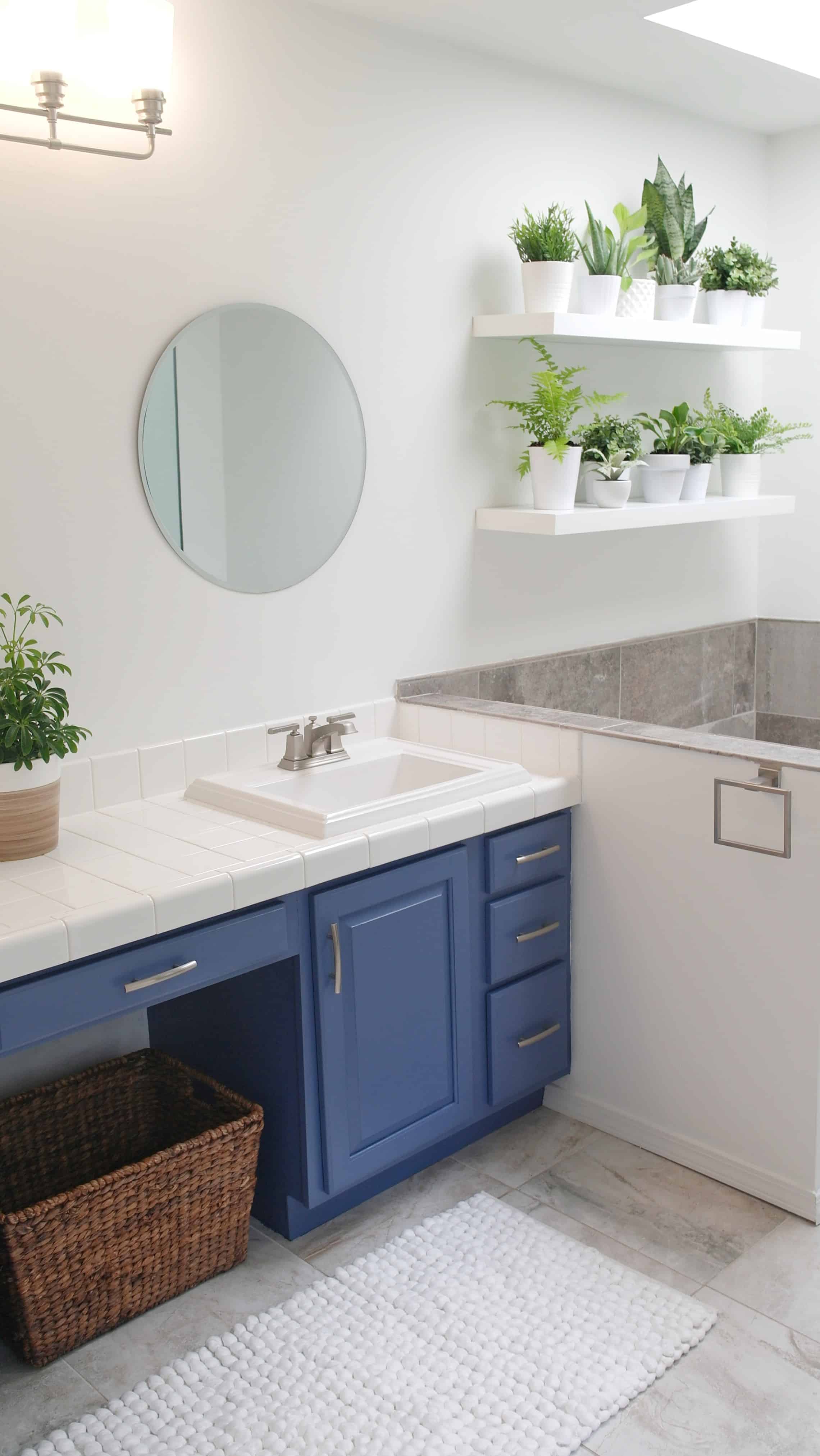 blue bathroom cabinets and shelves with greenery