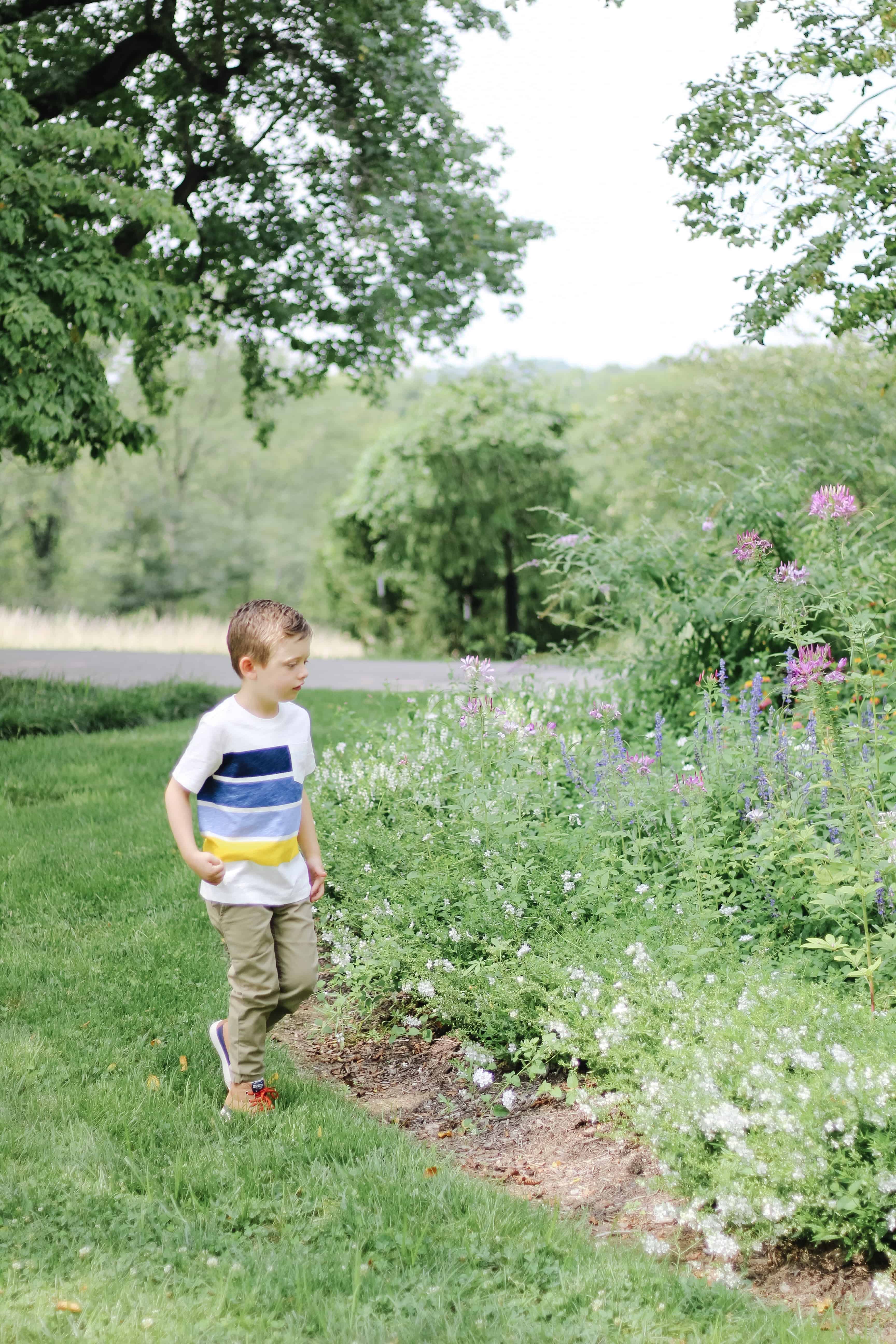 toddler boy in OshKosh