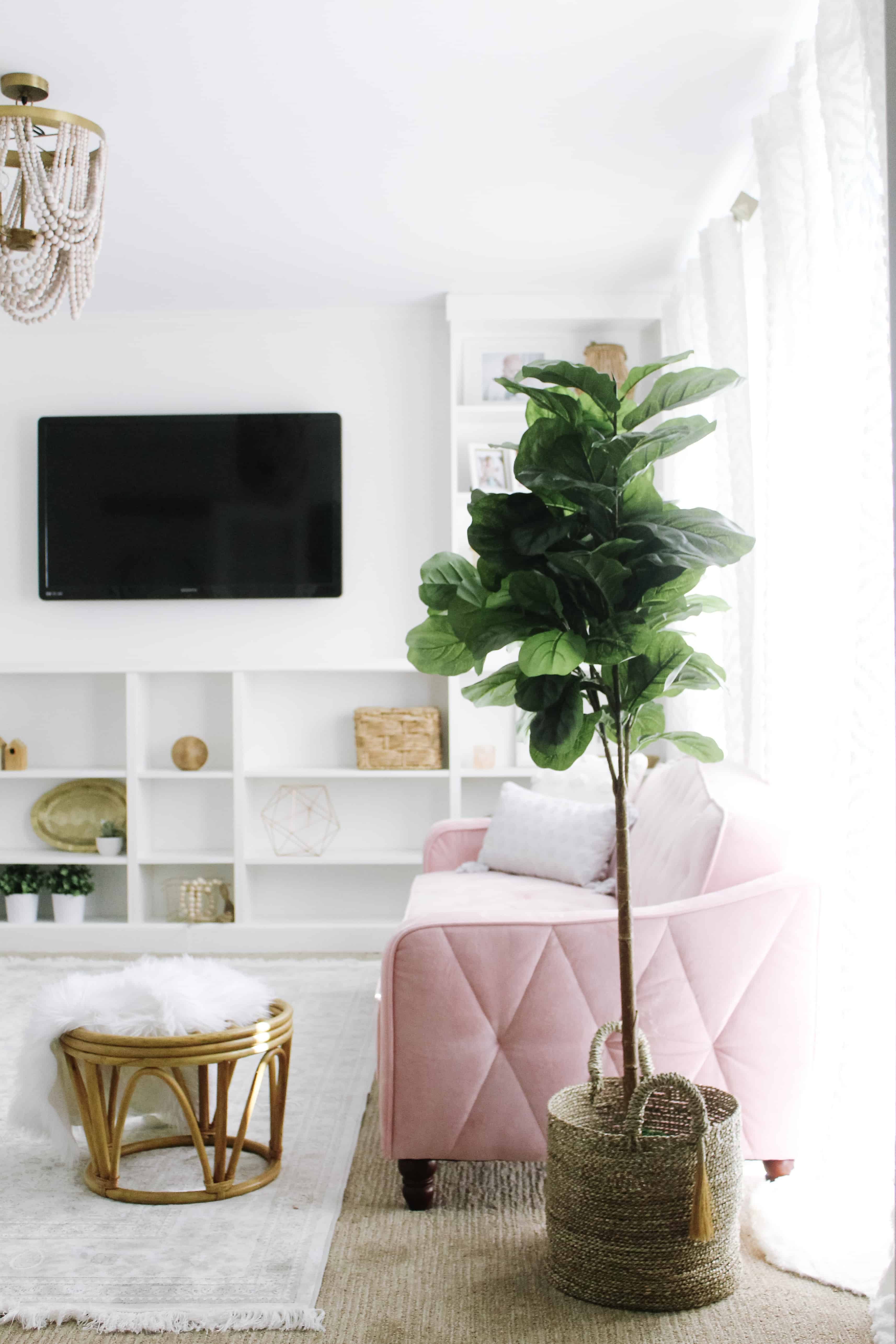 pink couch and fiddle leaf fig tree