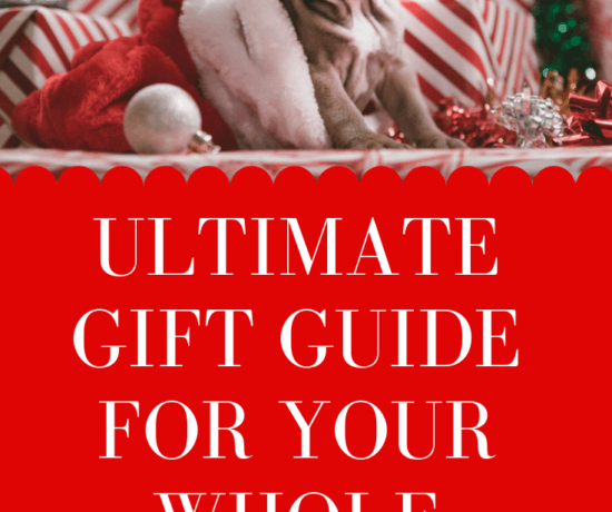 ultimate gift guide for your family