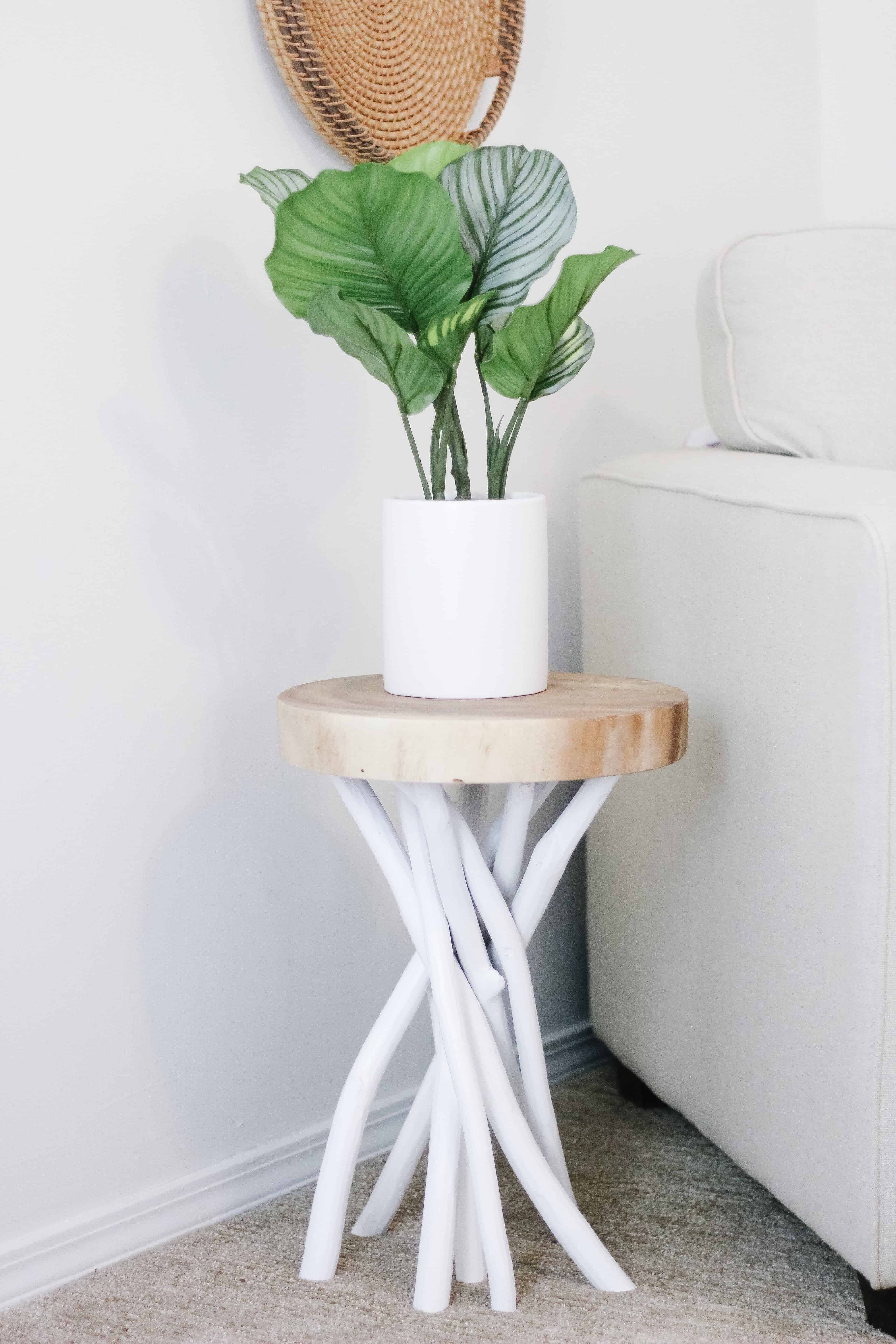 Wood side table with small plant on it