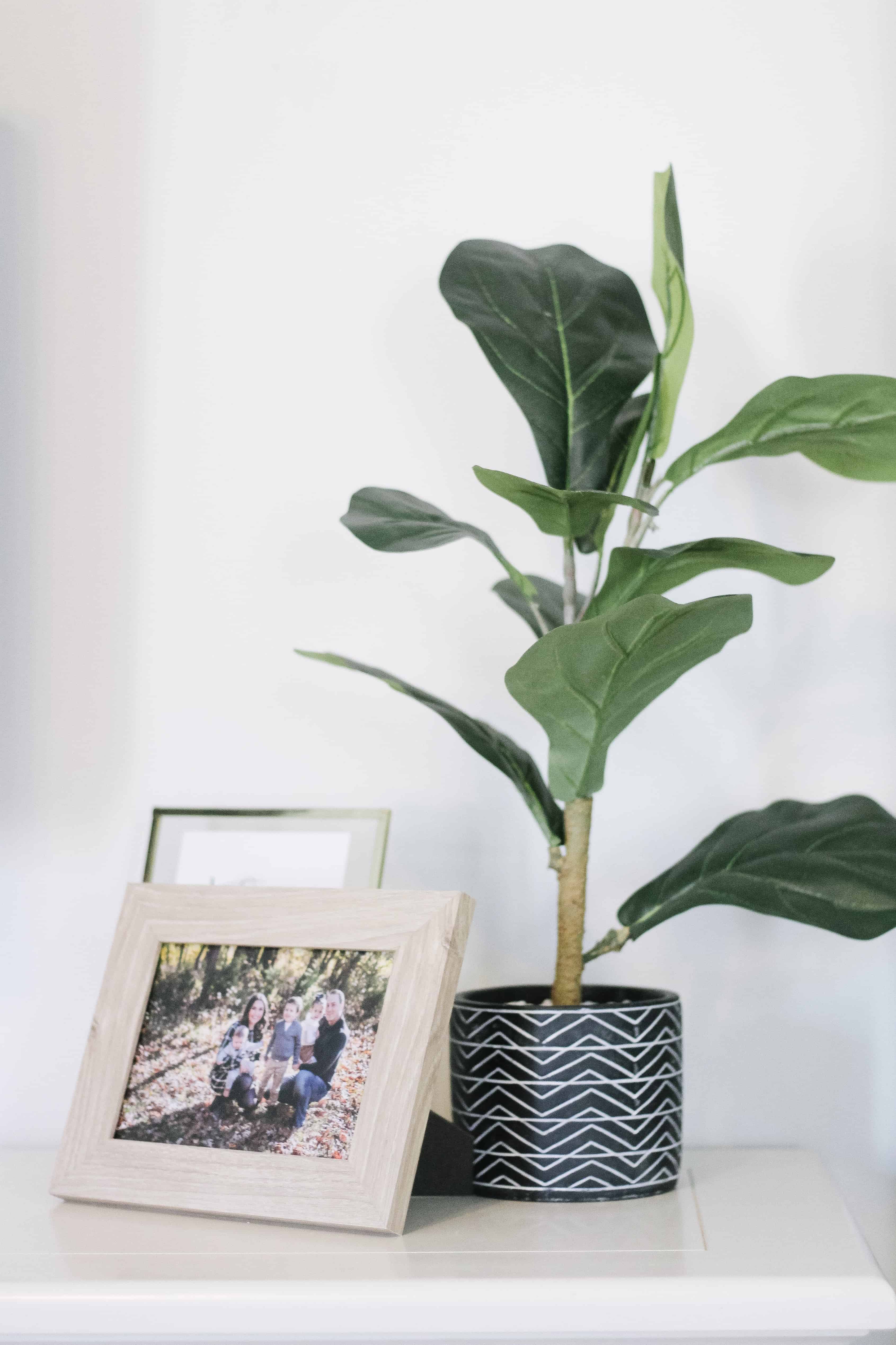 Dresser Decor with picture frames and plant