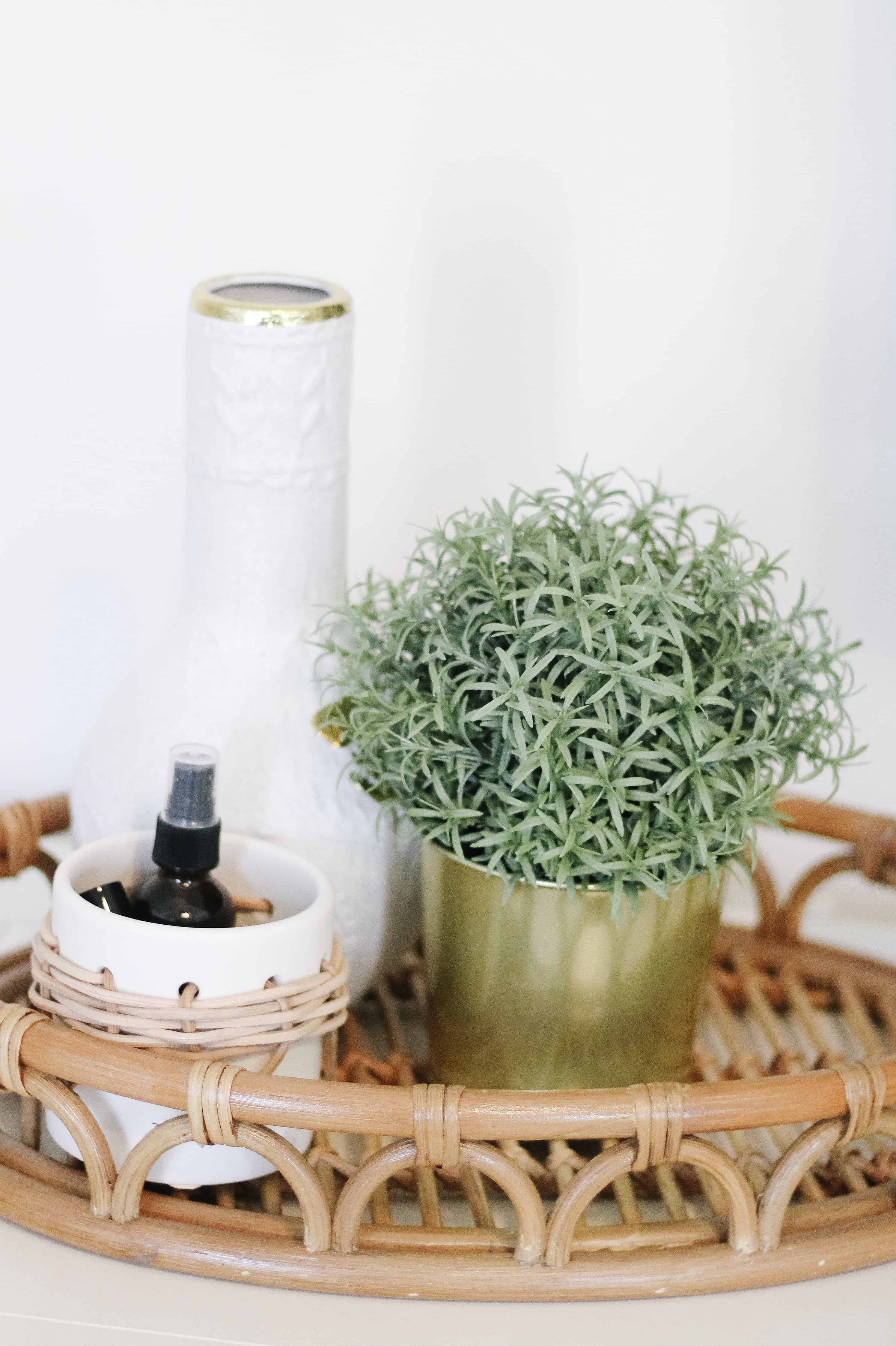 Rattan Tray with Ikea plant and vase