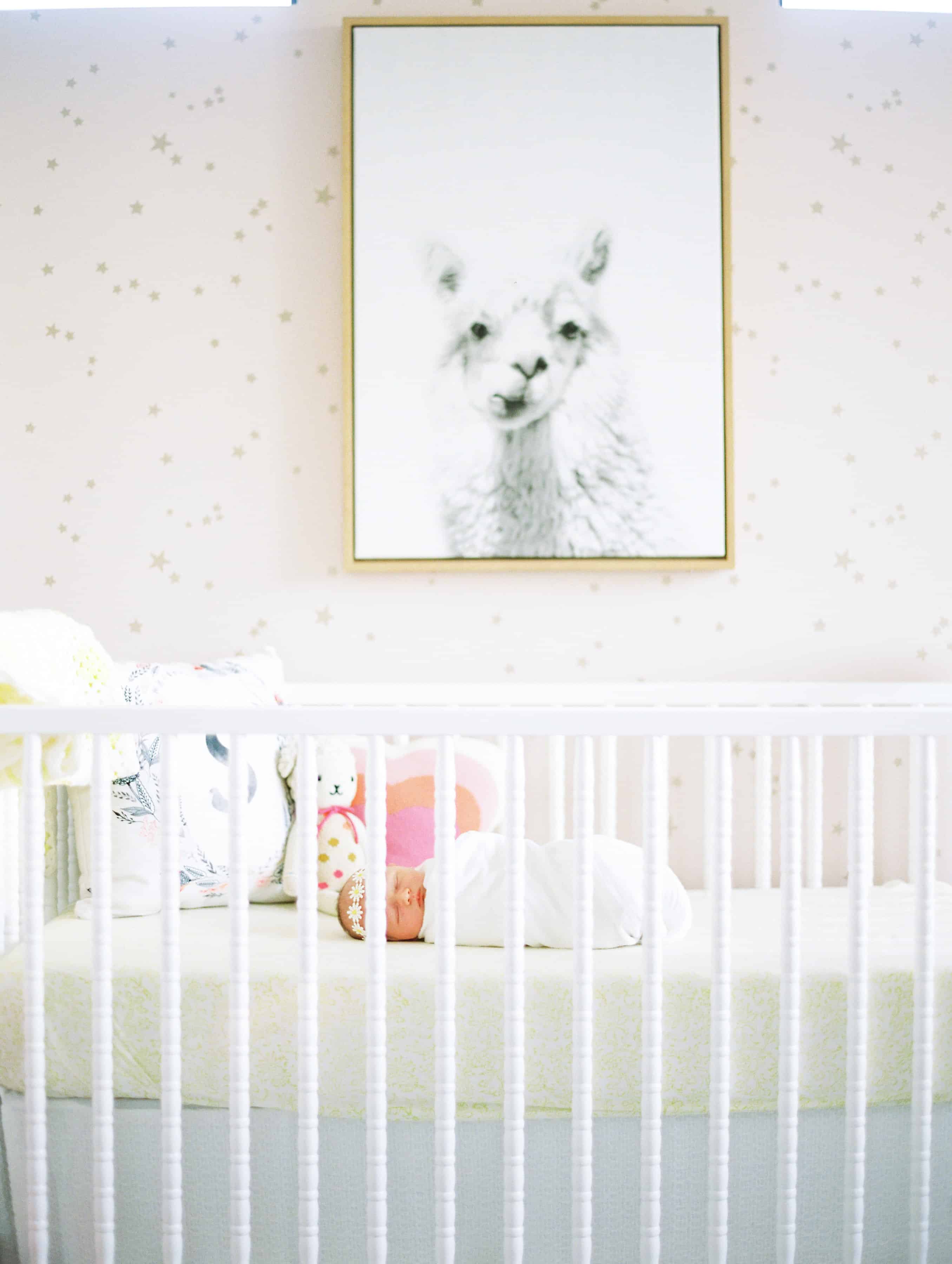 white crib in front of pink and gold star wallpaper with llama photo over crib