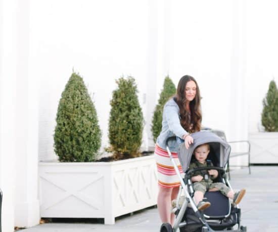 mom pushing uppa baby vista stroller with toddler