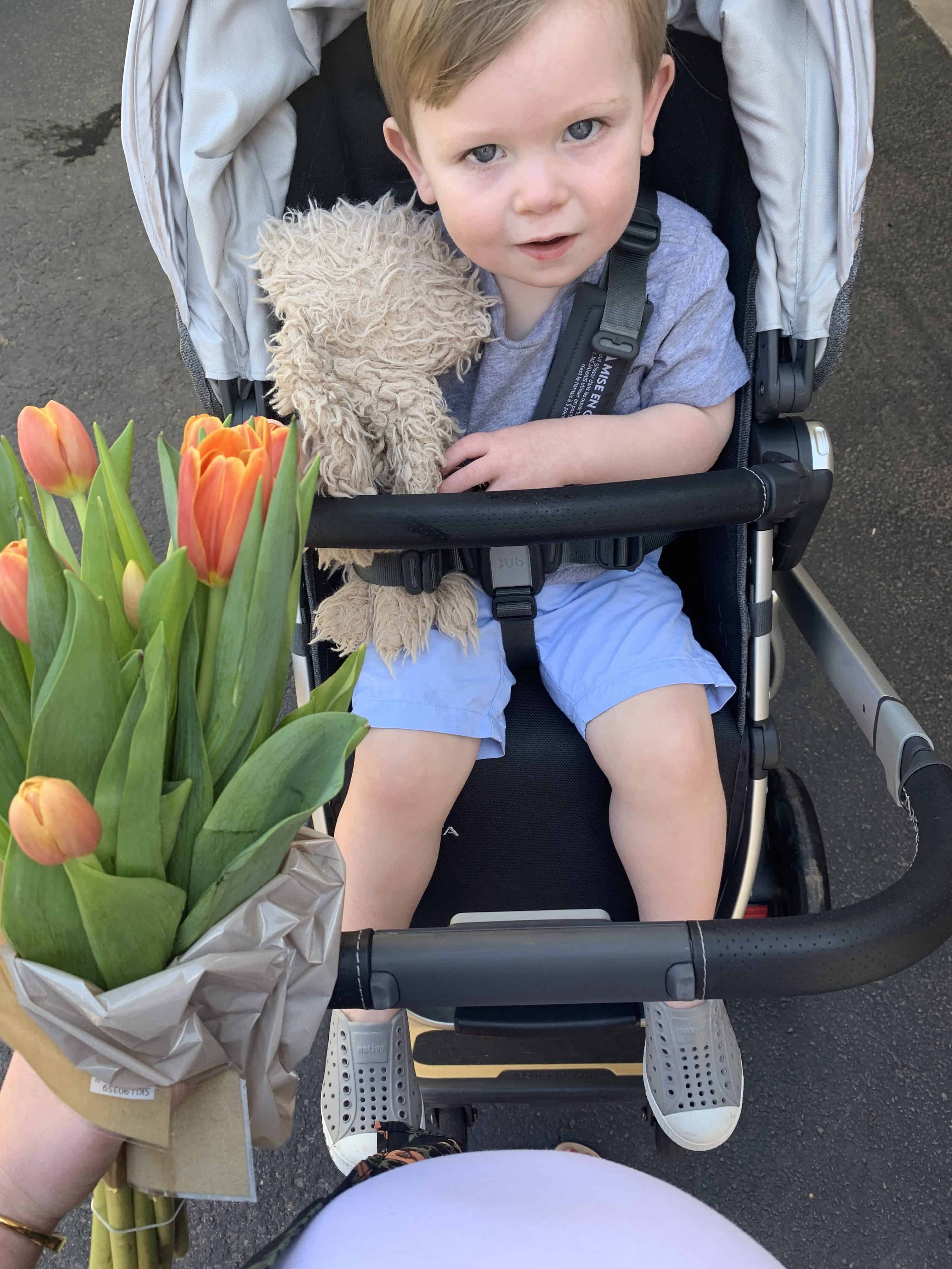 Toddler sitting in UPPAbaby VISTA stroller with stuffed animal