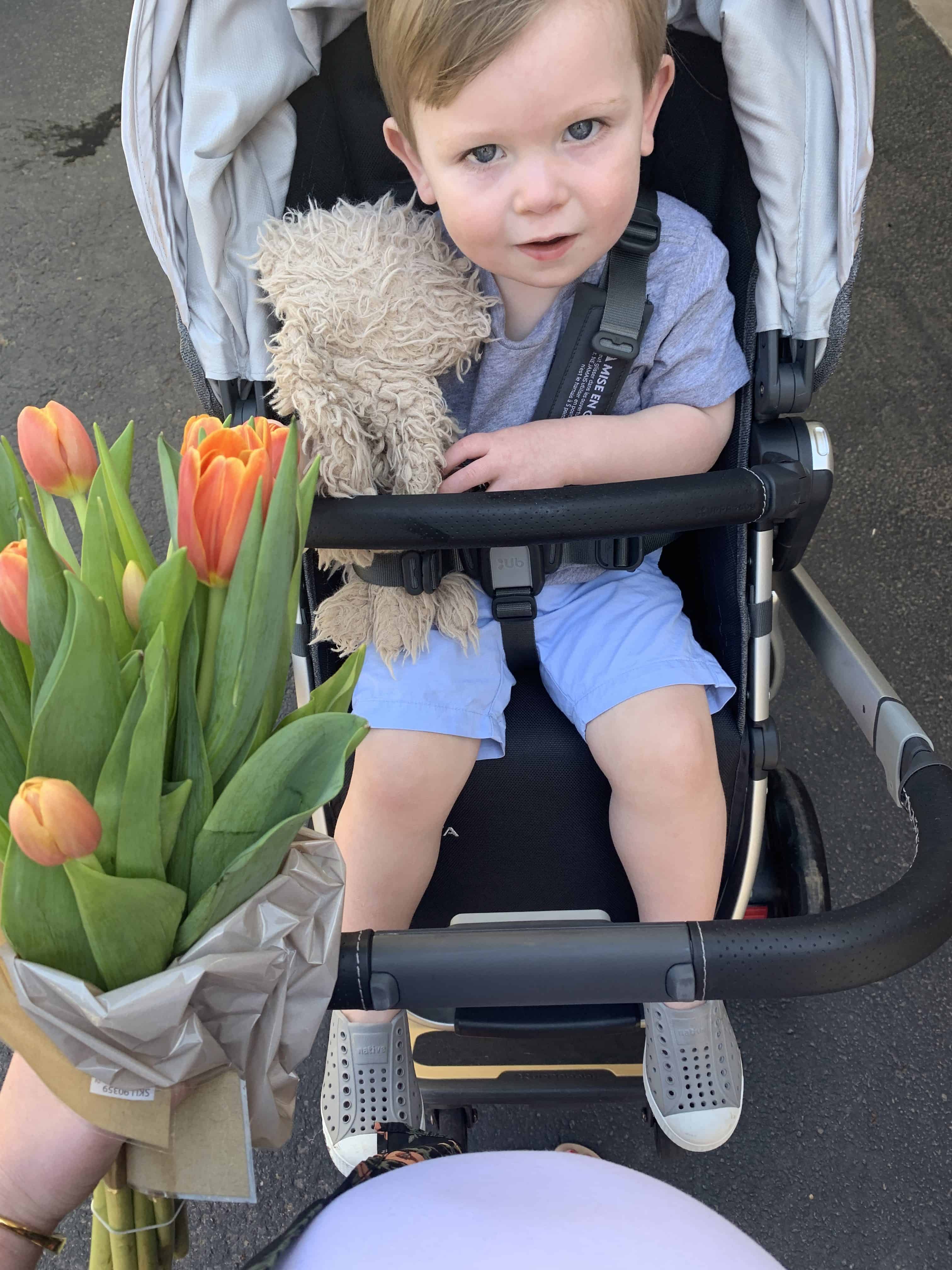 Traveling With the UppaBaby Vista Stroller - Glass of Glam