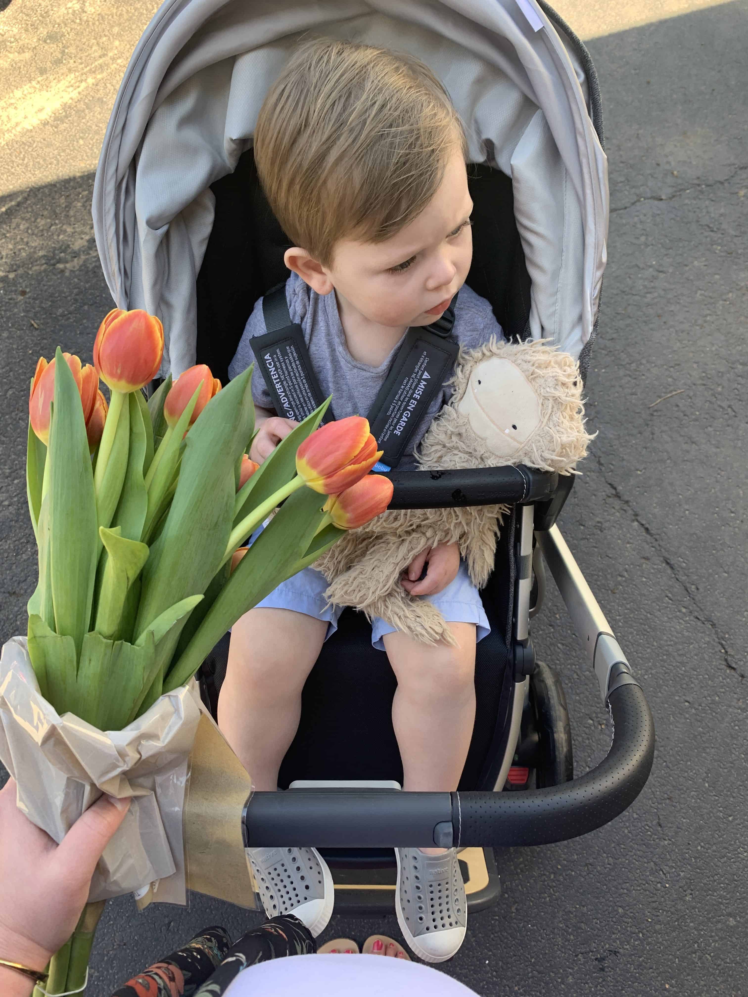 Little boy in uppa baby stroller with flowers