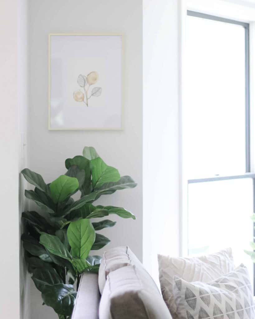 bright space with faux fiddle leaf fig