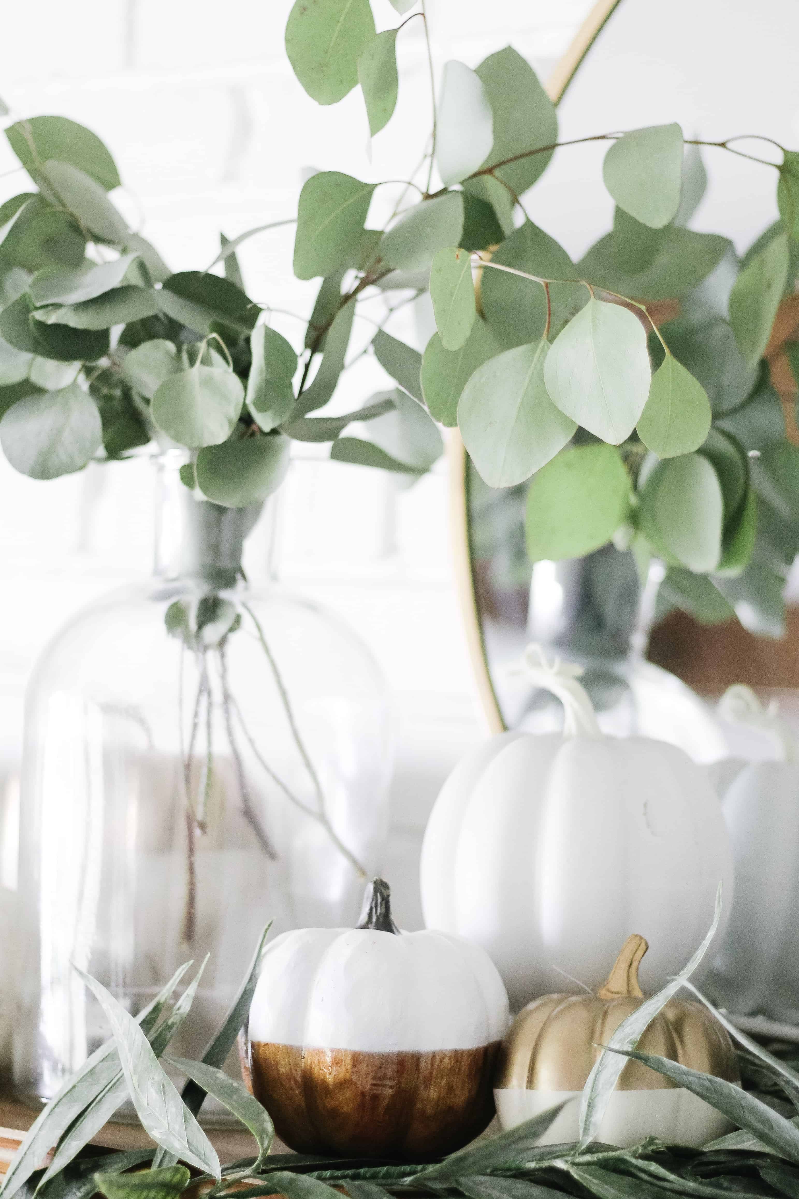 fresh eucalyptus on mantle