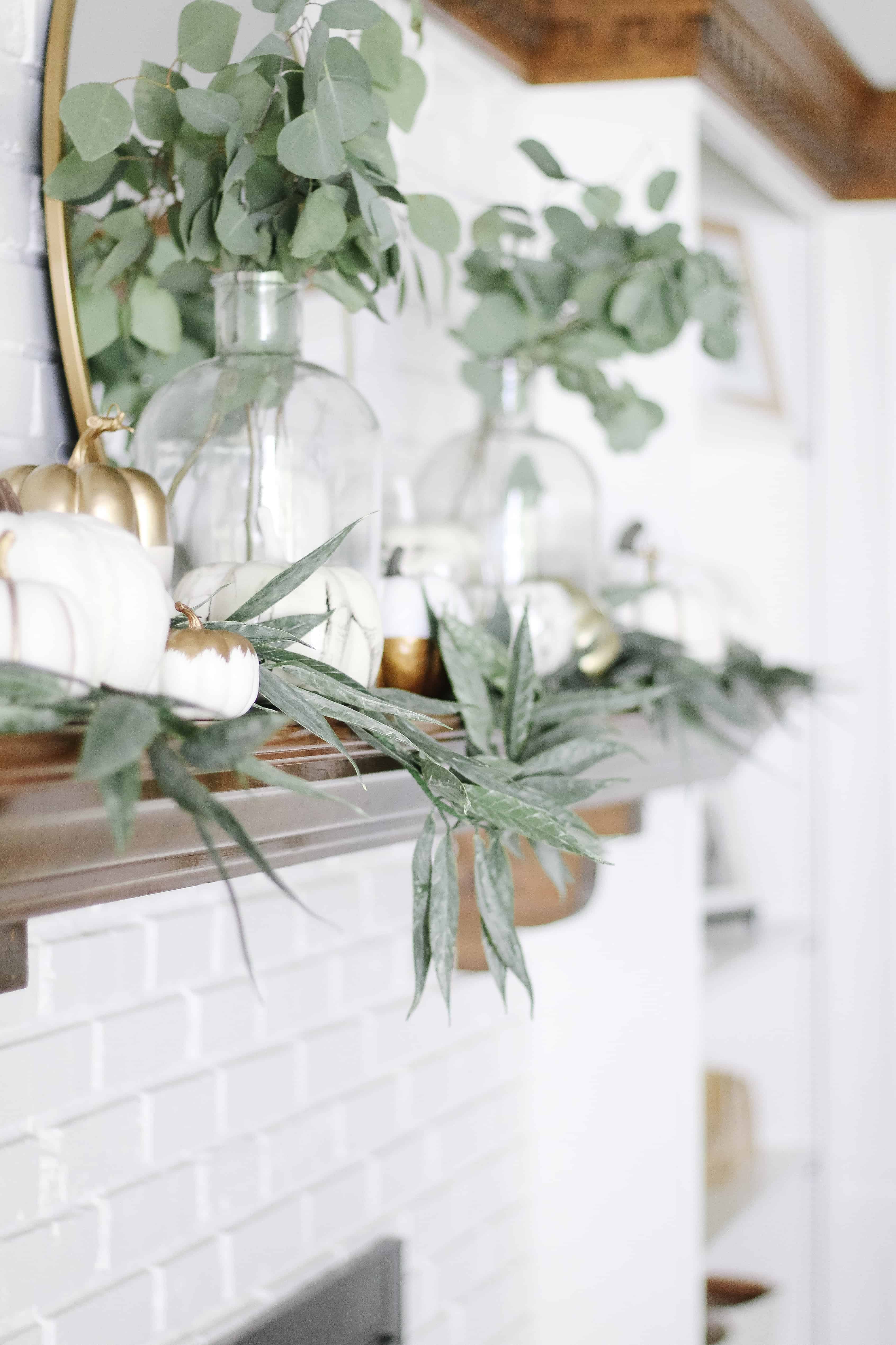 neutral and green mantle 