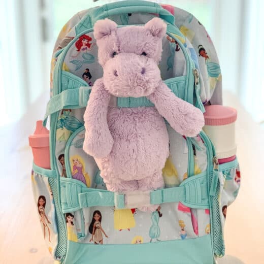 Pottery Barn rolling backpack with stuffed animal
