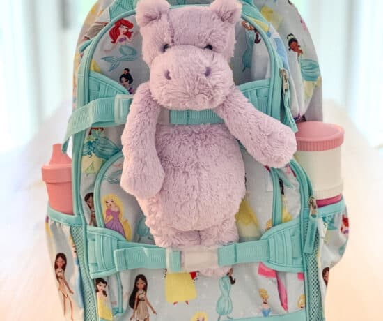 Pottery Barn rolling backpack with stuffed animal