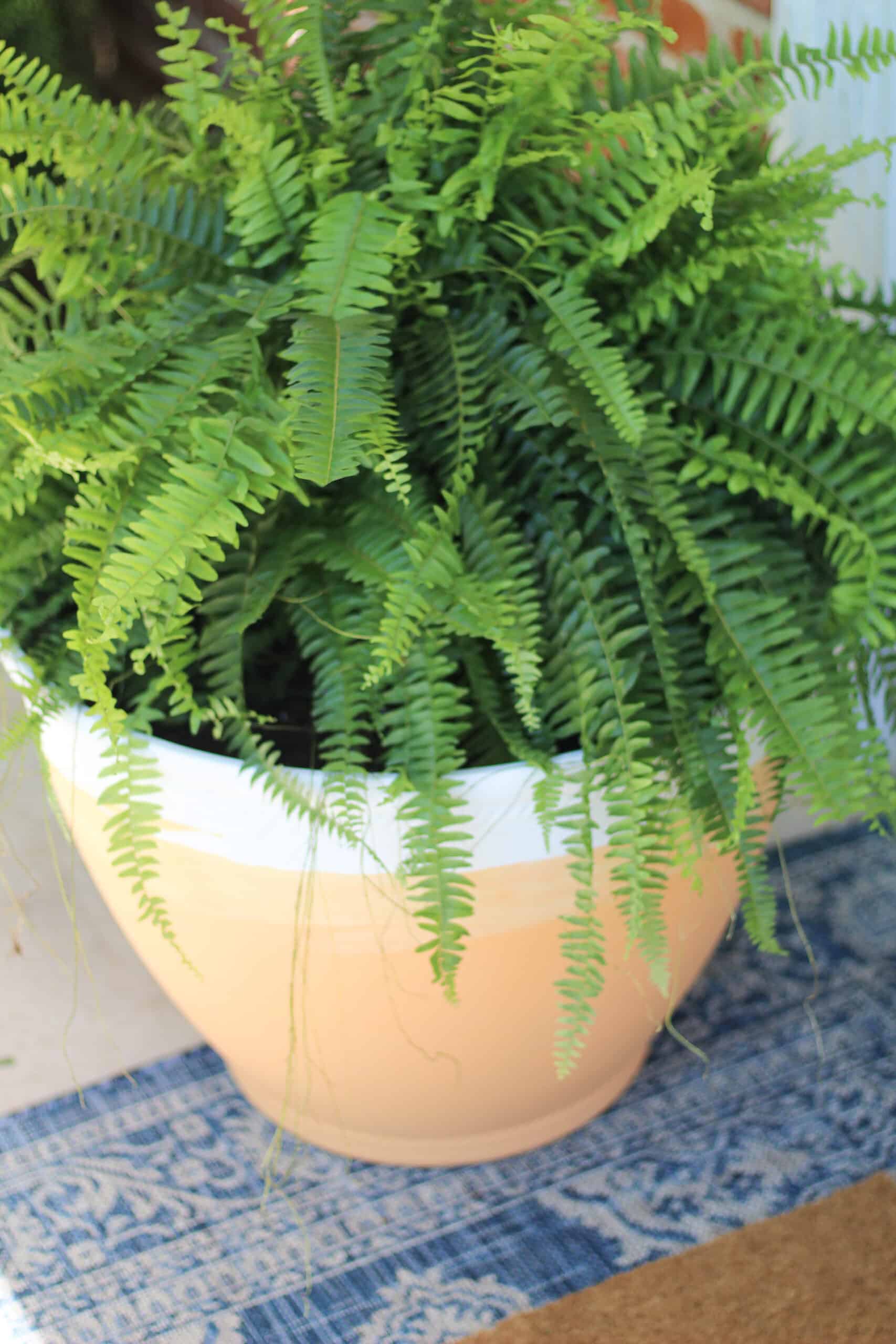 DIY Terracotta Pot