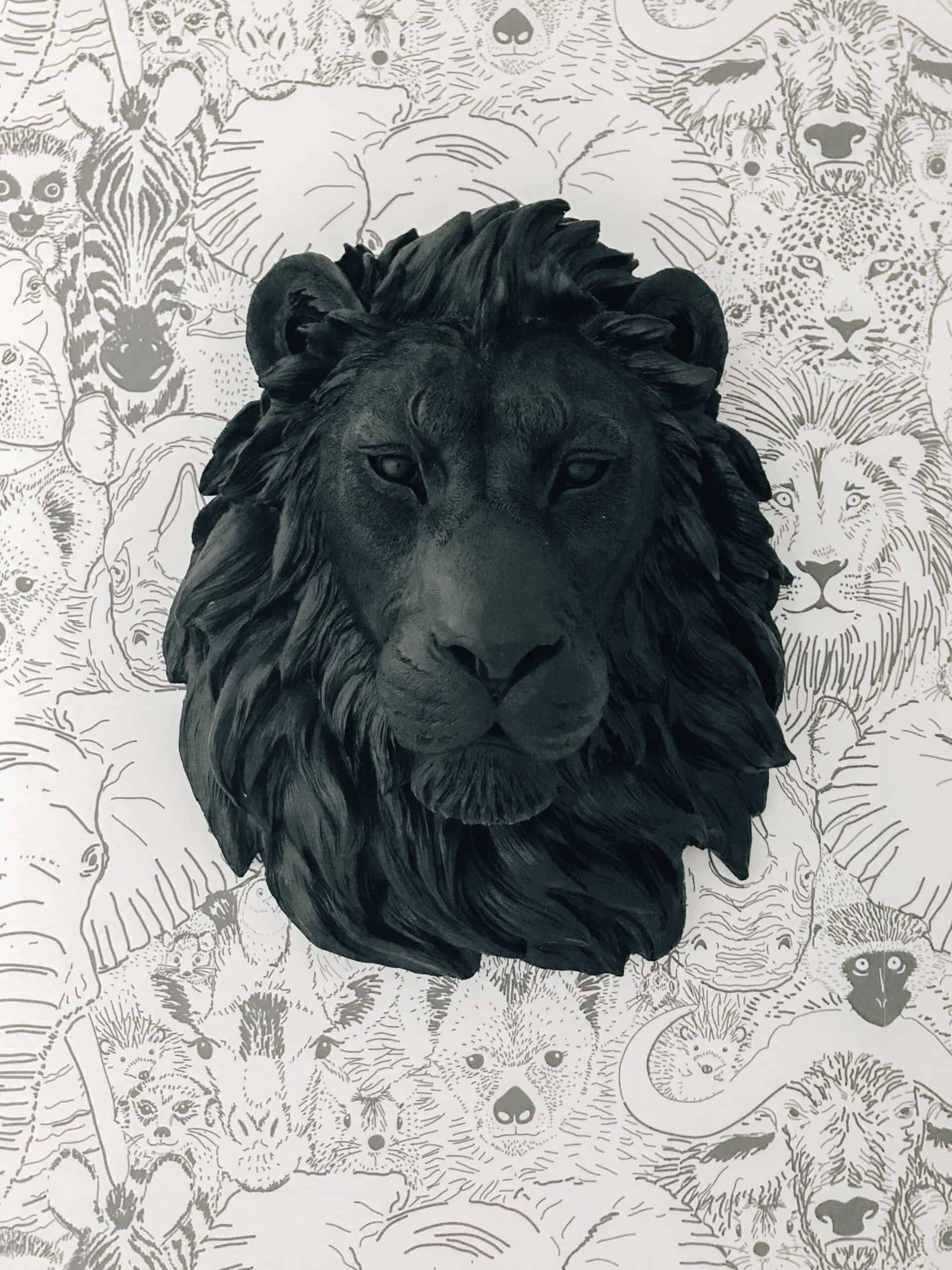 Boys Wallpaper with black lion head