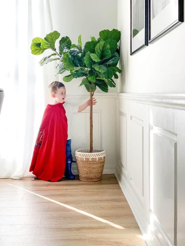 Little boy in a cape 