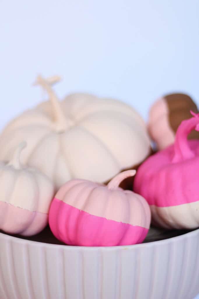 bowl of pink color block pumpkins