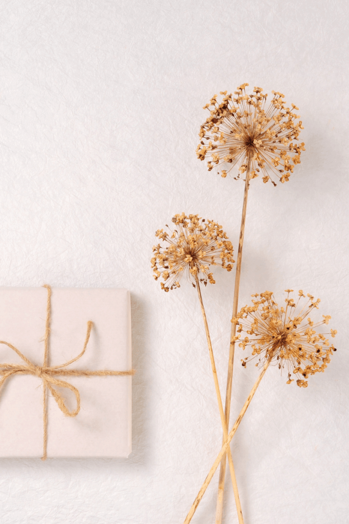 Gift next to dandelion stems