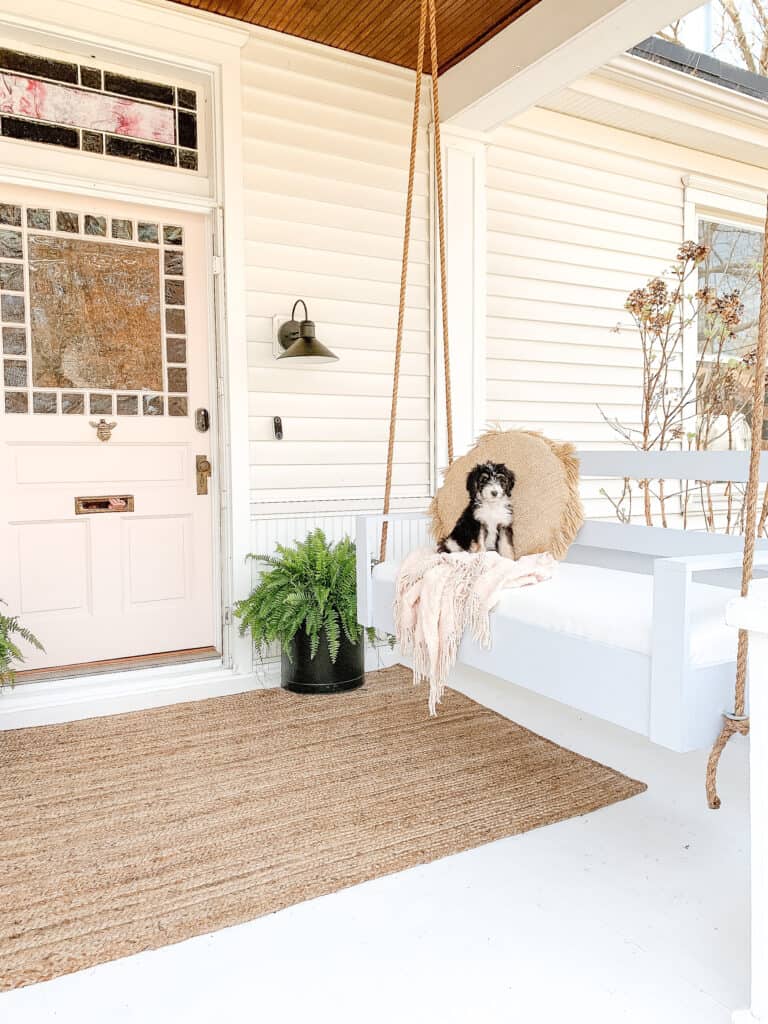 DIY porch swing with bernedoodle puppy on it. 