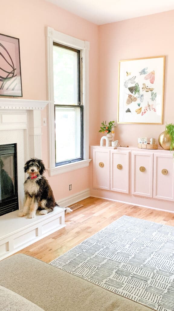 Sherwin Williams Pink Shadow Pink Paint Colors Paint Colors For Home ...