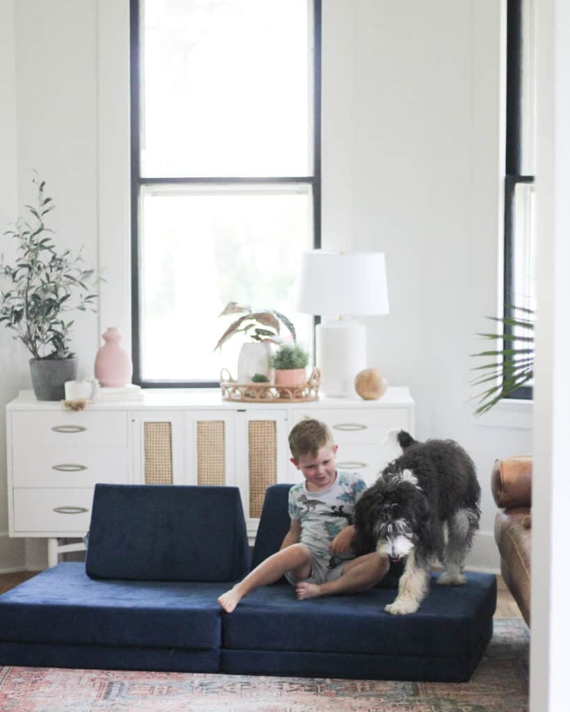 Bernedoodle and little boy on Nugget