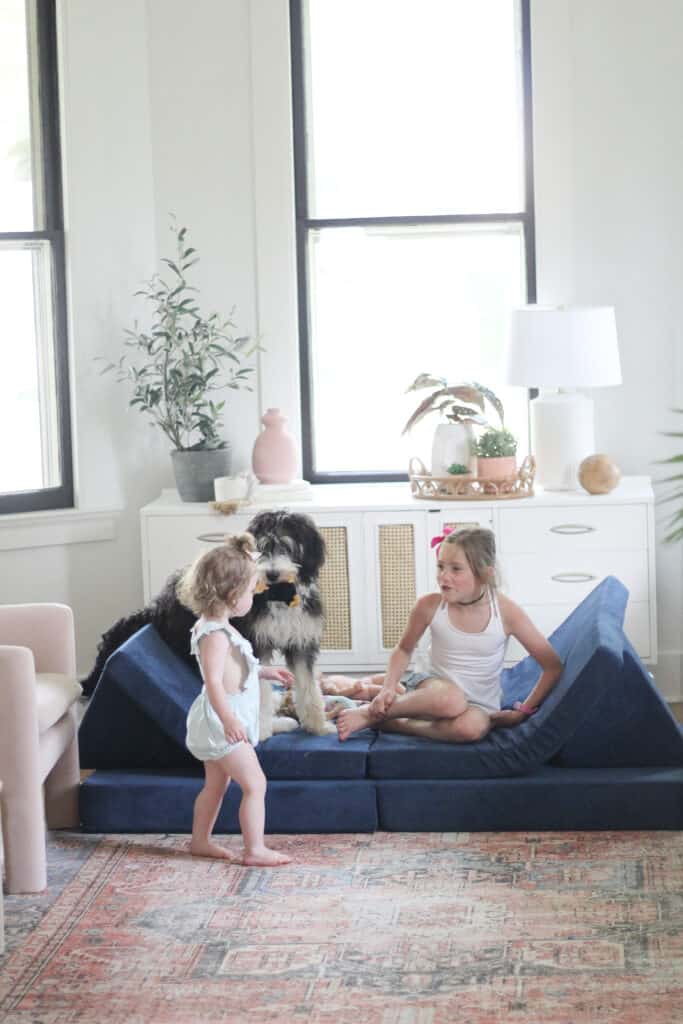 kids and dog on Nugget couch 