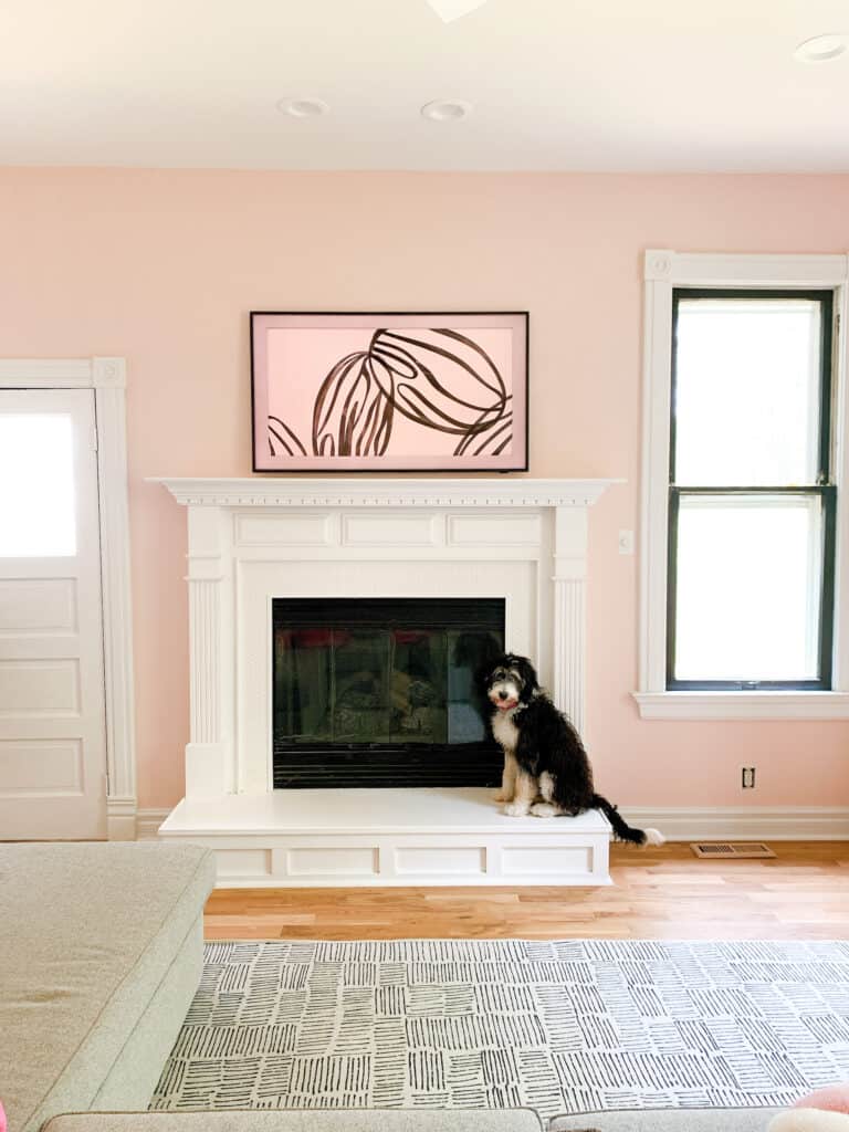 Dog sitting on Mantle 