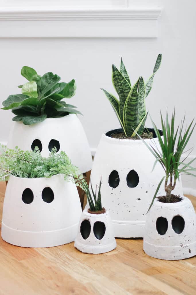 Cement Ghost planters