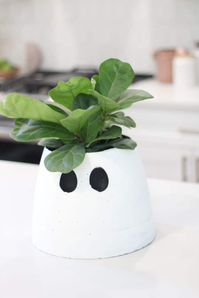 Cement ghost planter