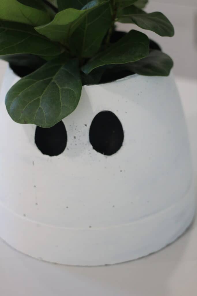 Ghost flower pot -  Canada