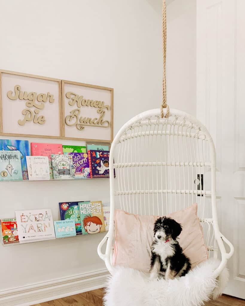 Bernedoodle sitting on hanging swing chair 