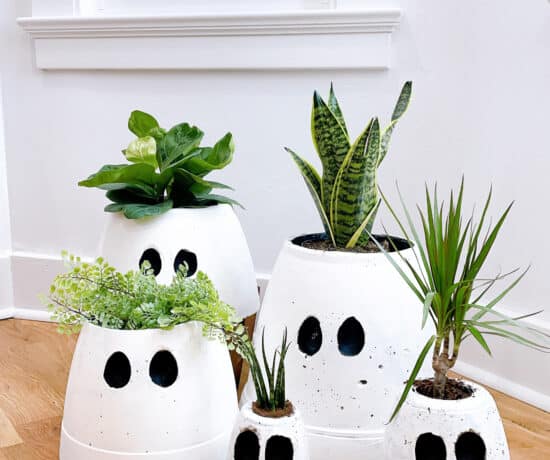 Ghost pots with plants