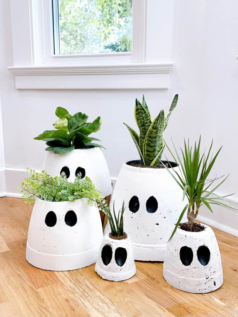 Ghost pots with plants