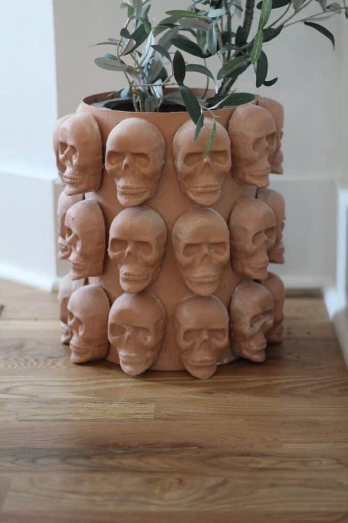 Skull Planter DIY 