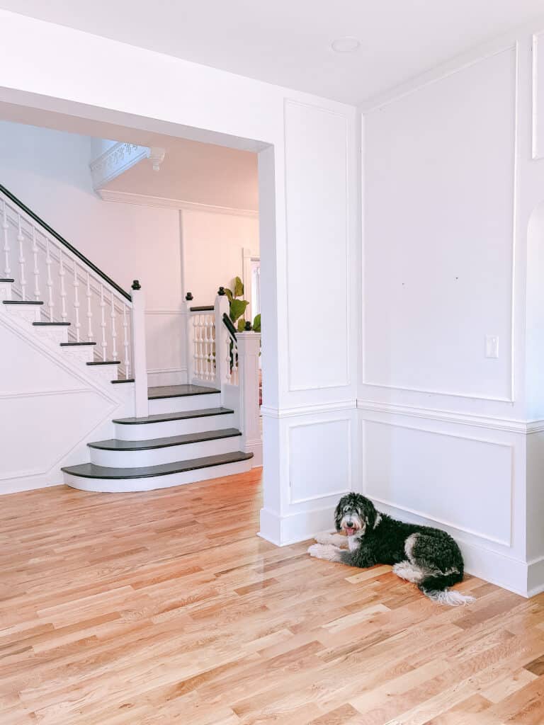 Dining room with wainscoting 