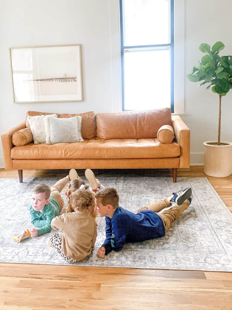 Poly and Bark Napa Sofa Review from a Mom of Four arinsolangeathome