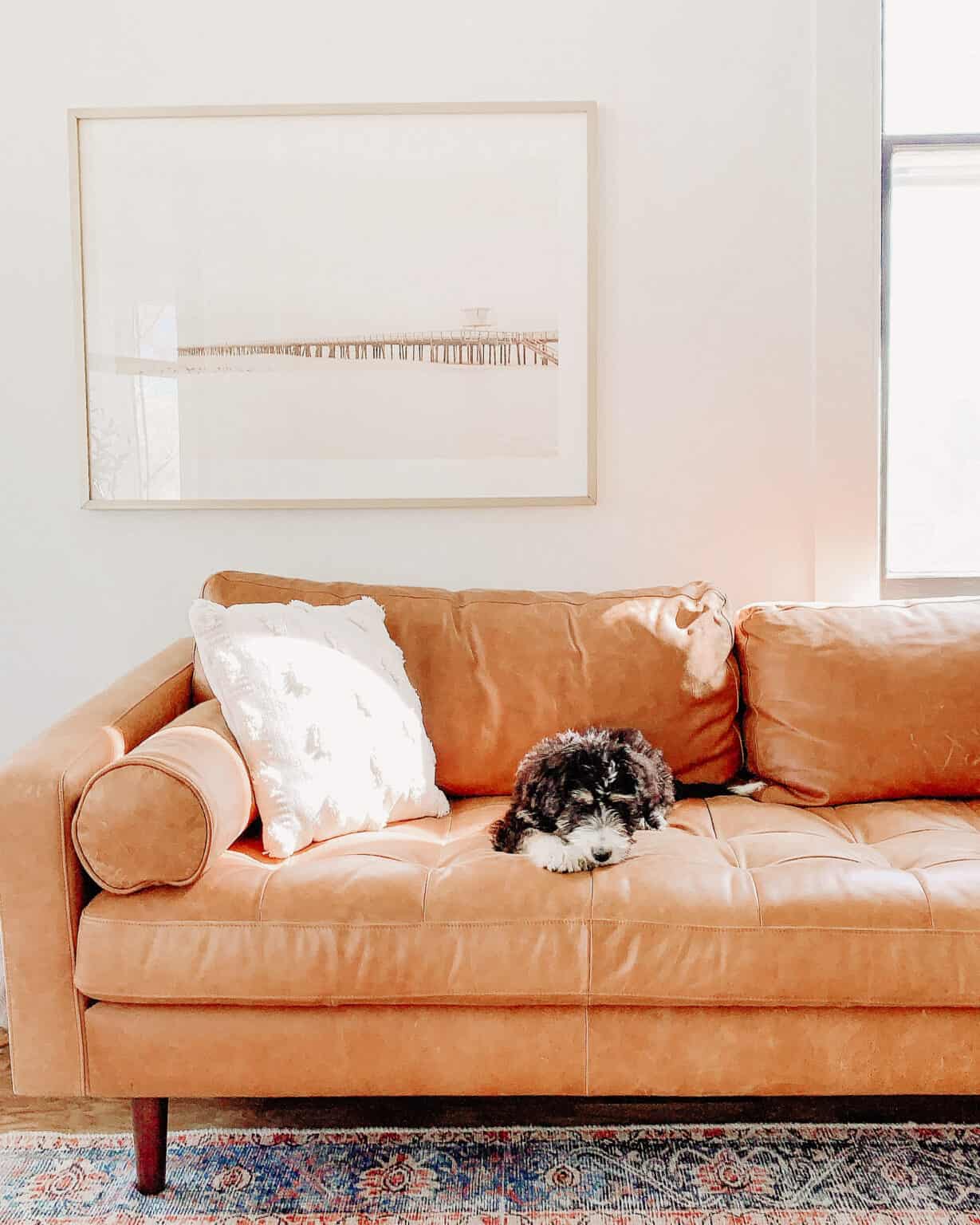 Poly and Bark Napa Sofa Review from a Mom of Four arinsolangeathome