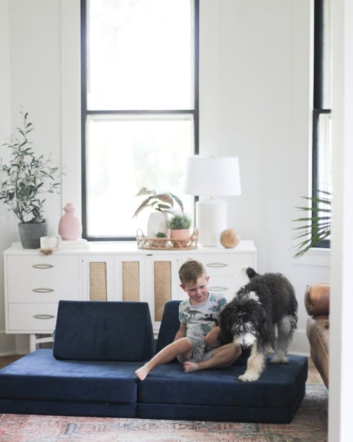 Bernedoodle with kids