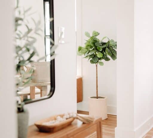 Best Faux plants for your house