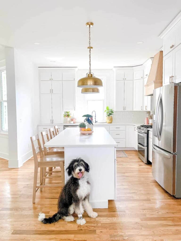 white and gold kitchen