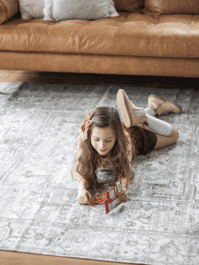 Carpet 101 : Types of Carpet