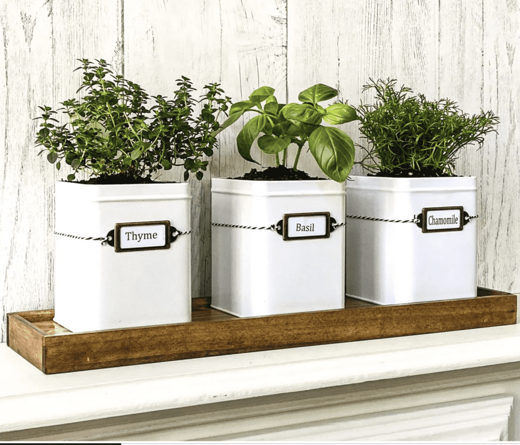 diy labels for herb garden