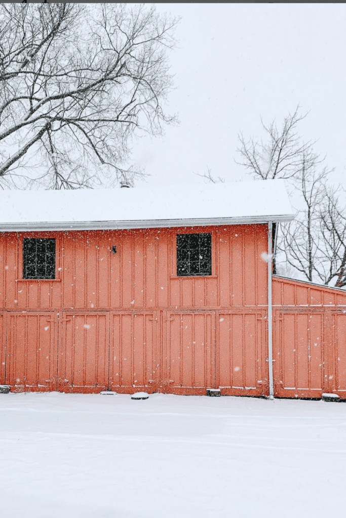 how to organize garage on a budget