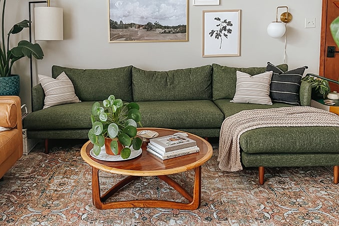 neutral rug in living room