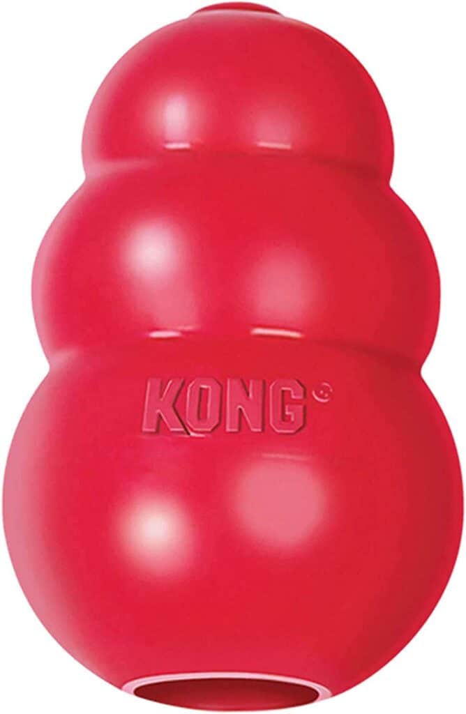 kong toy for dogs