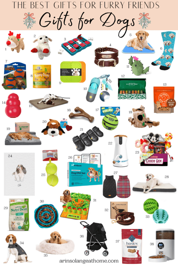 Best Christmas Gifts for Dogs